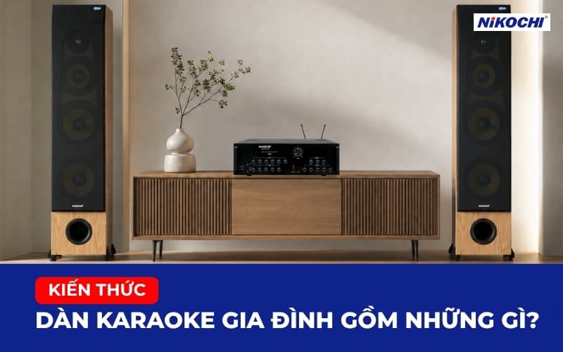 Dàn karaoke gia đình gồm những gì trong phòng khách hiện đại